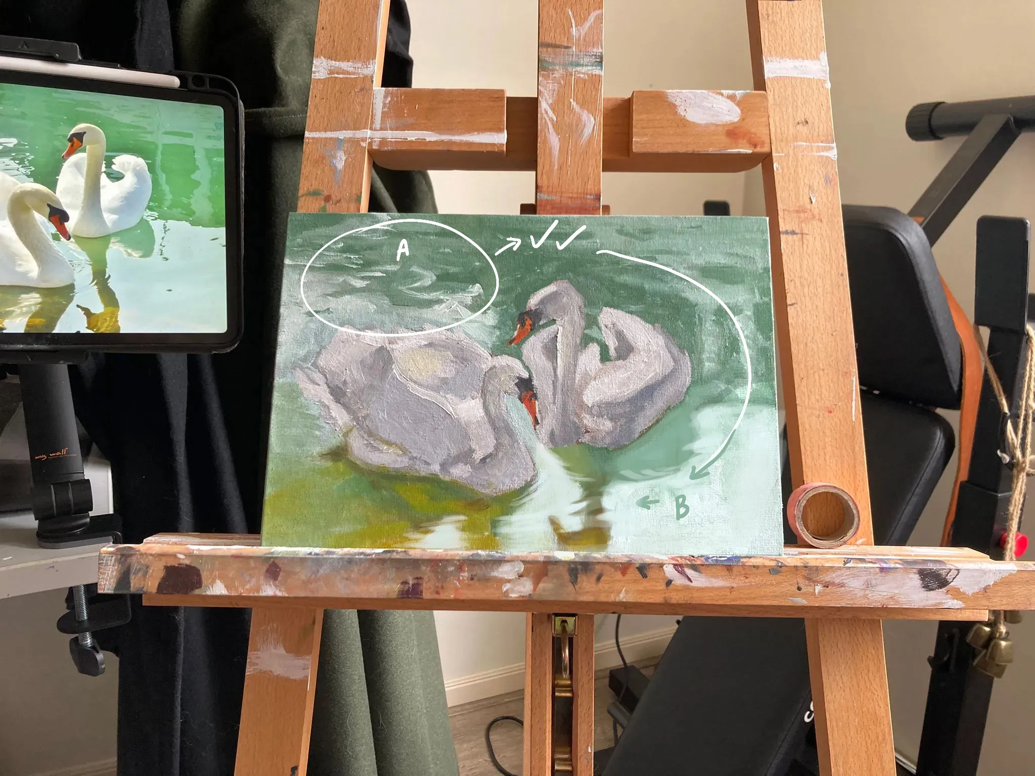 Swans