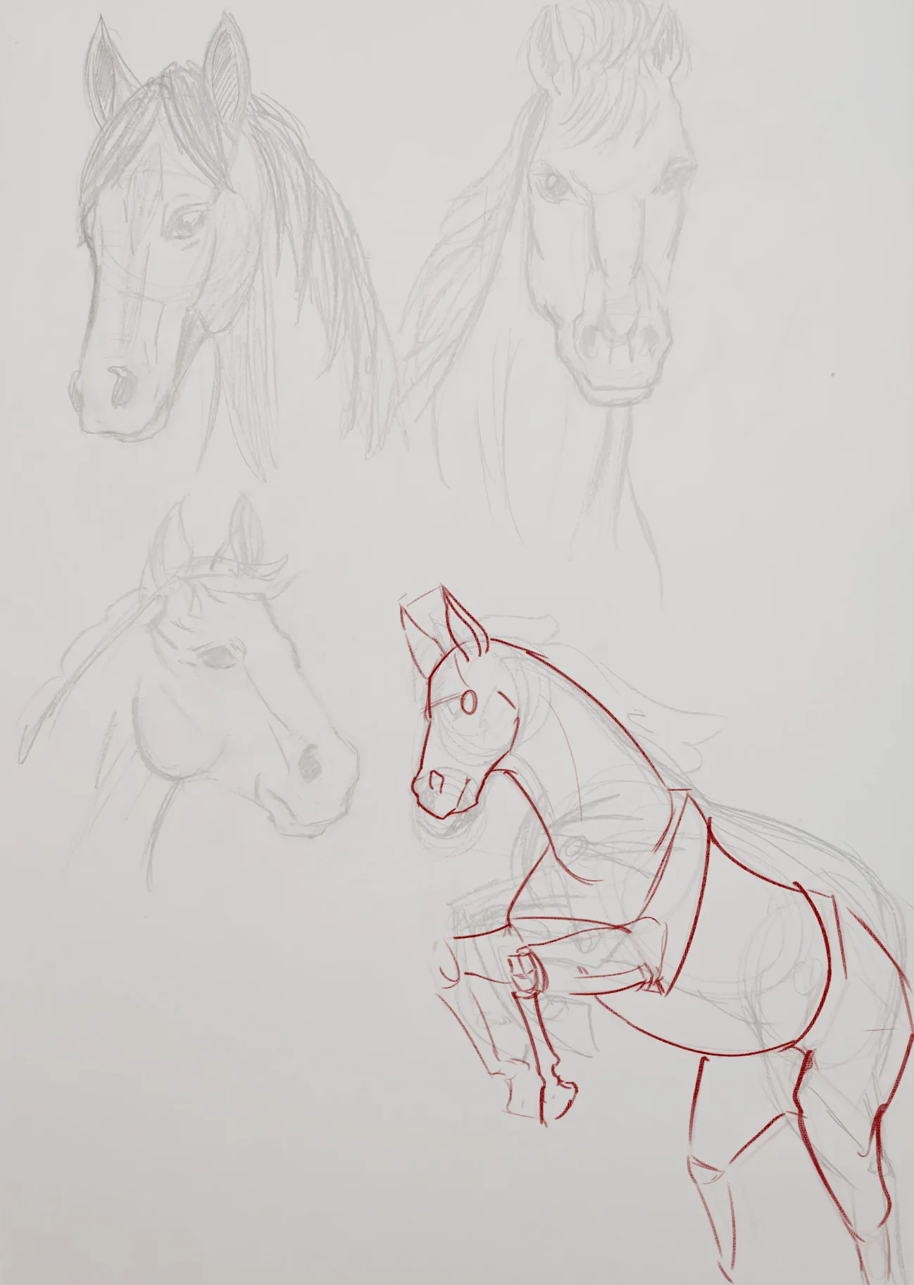 Horse sketch