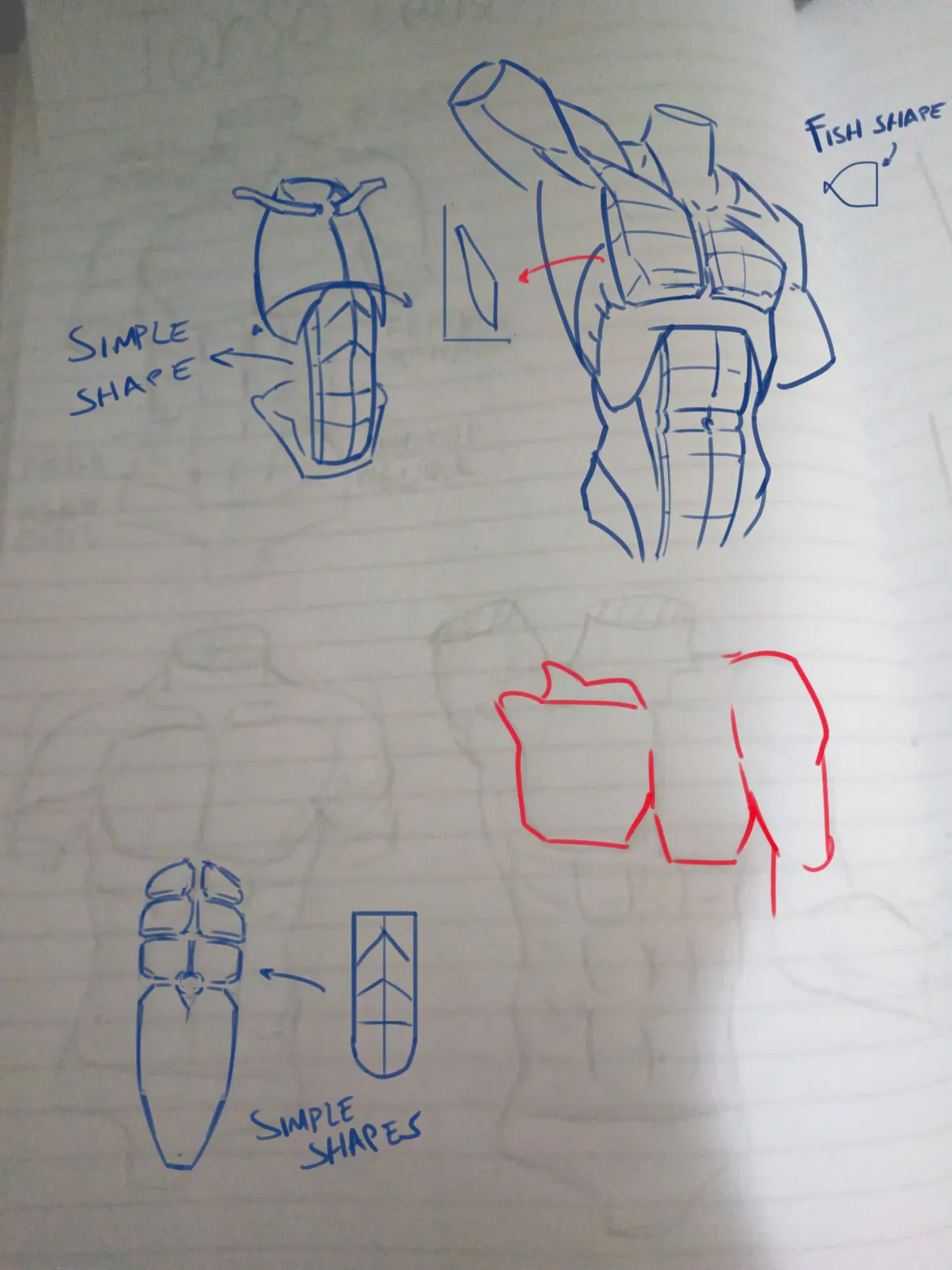 Torso study