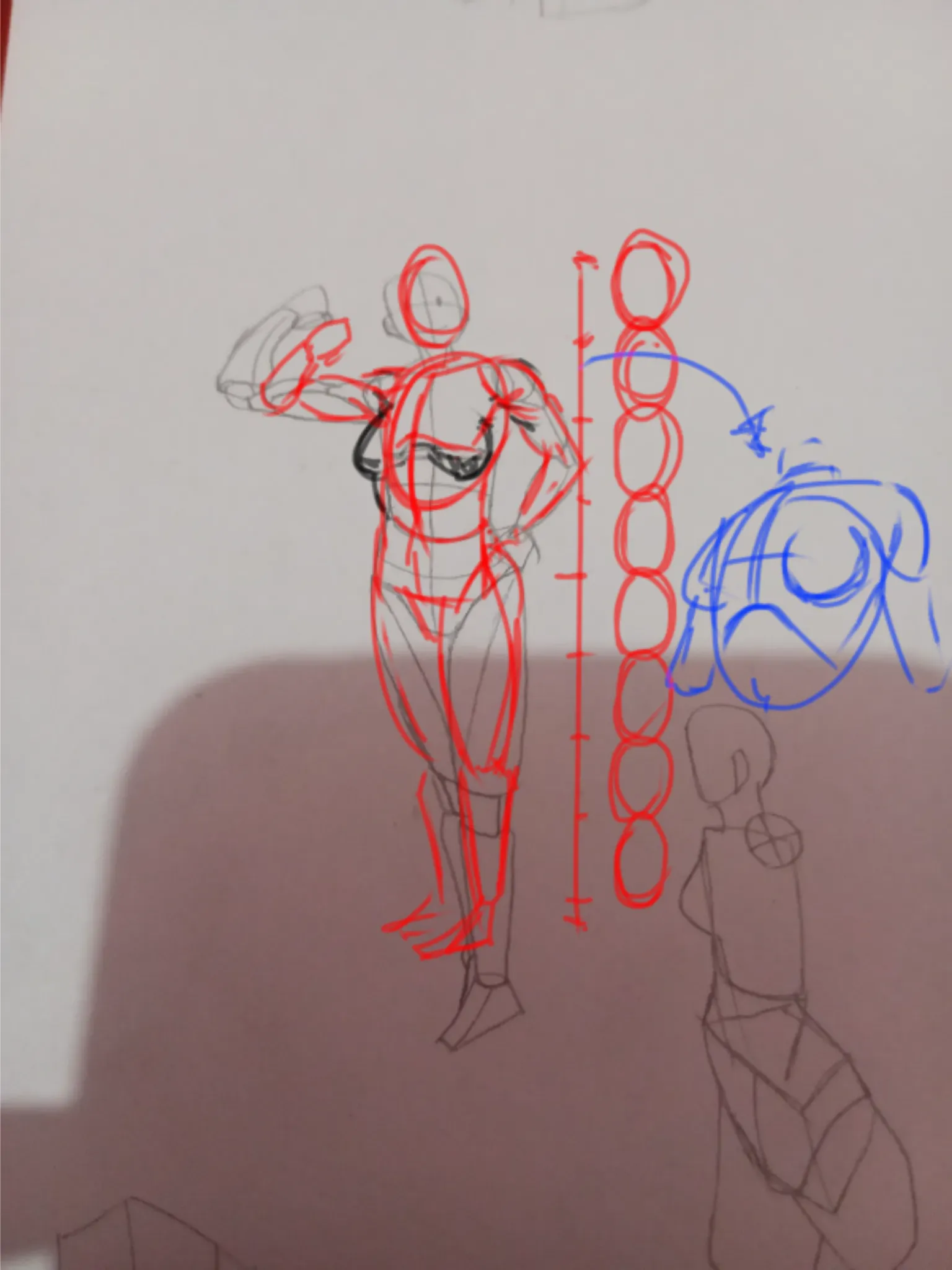 female body muscle