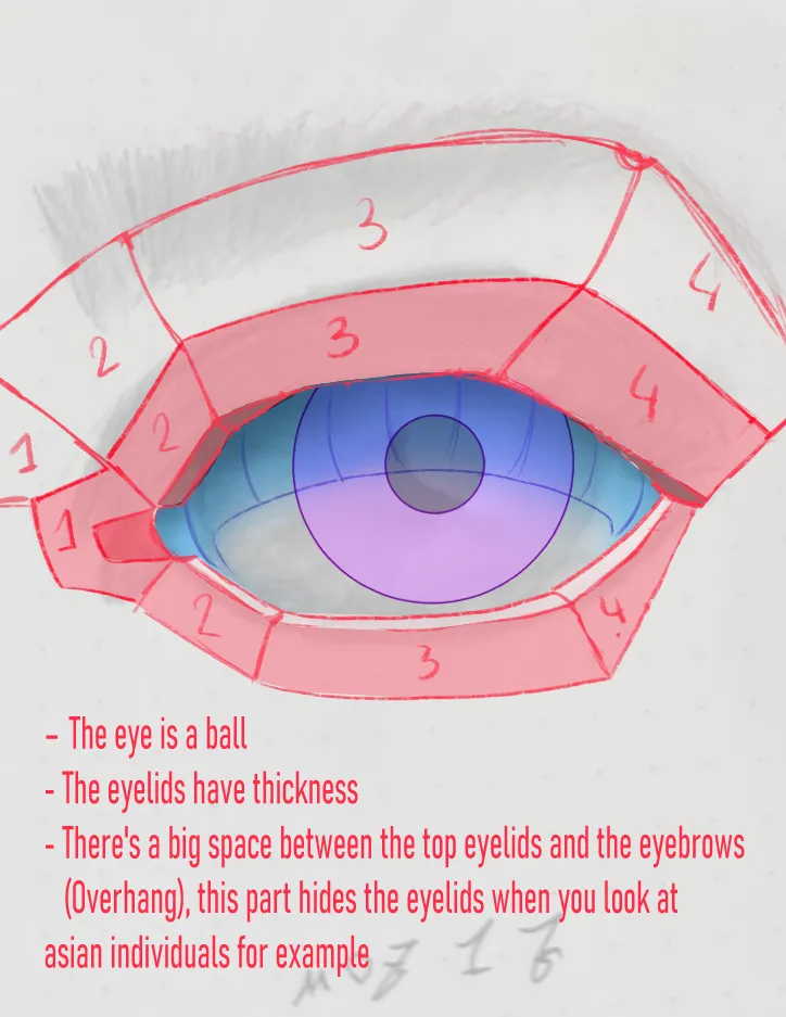 Eyes