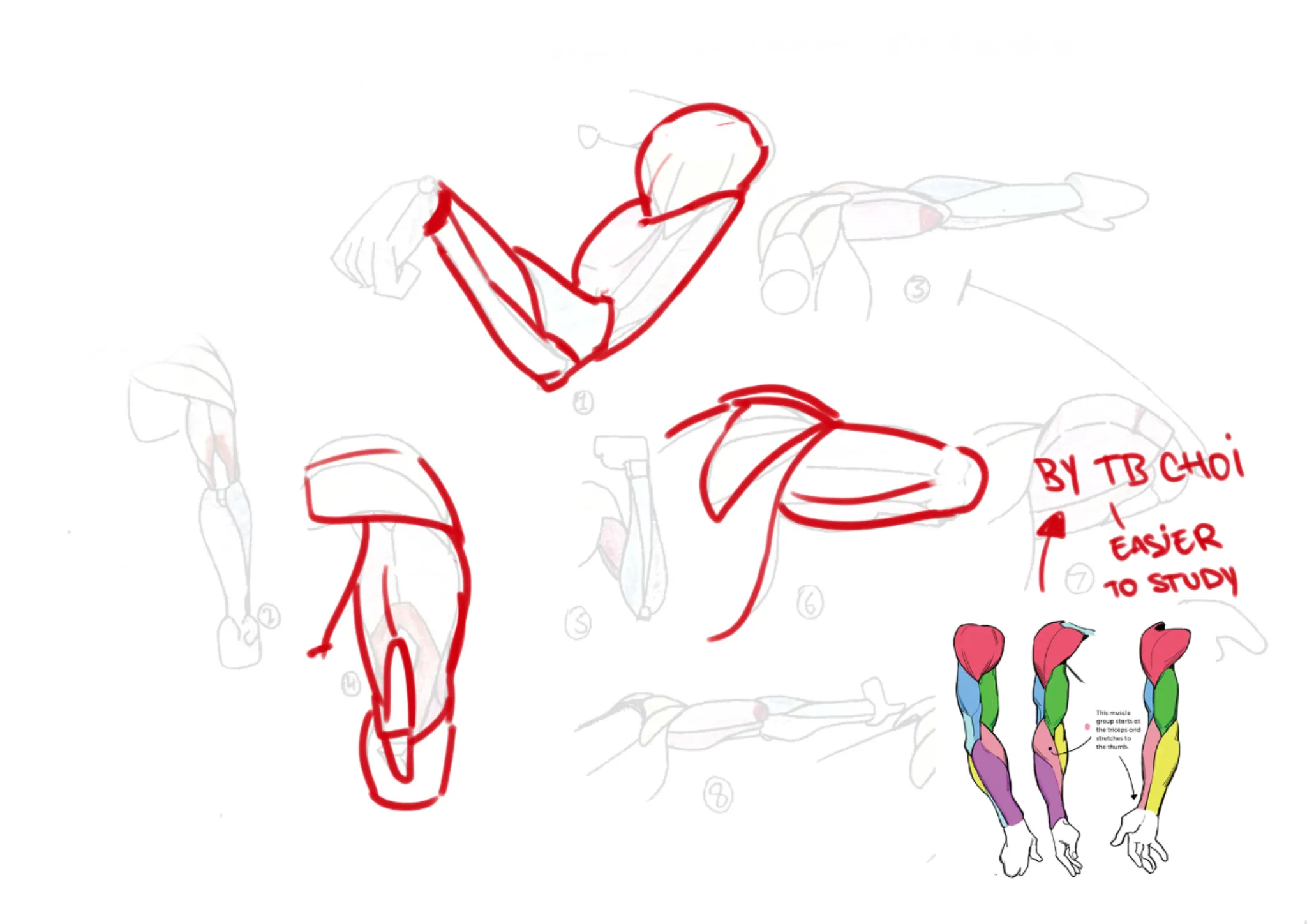 Arms