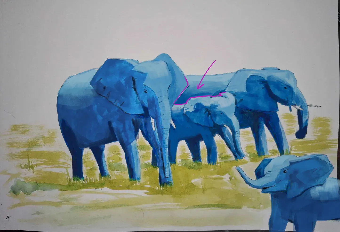 Elephants