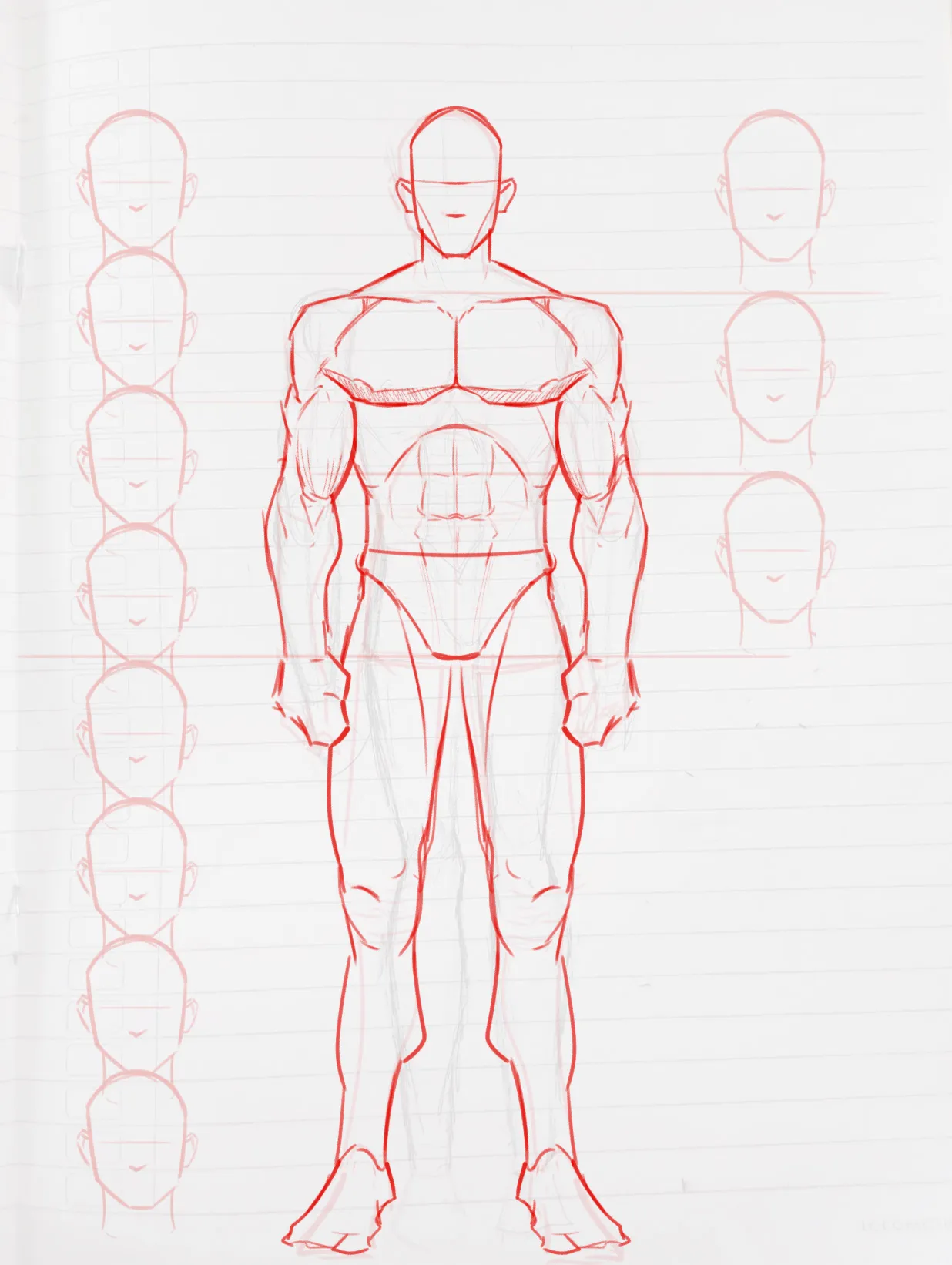 anatomy karakter