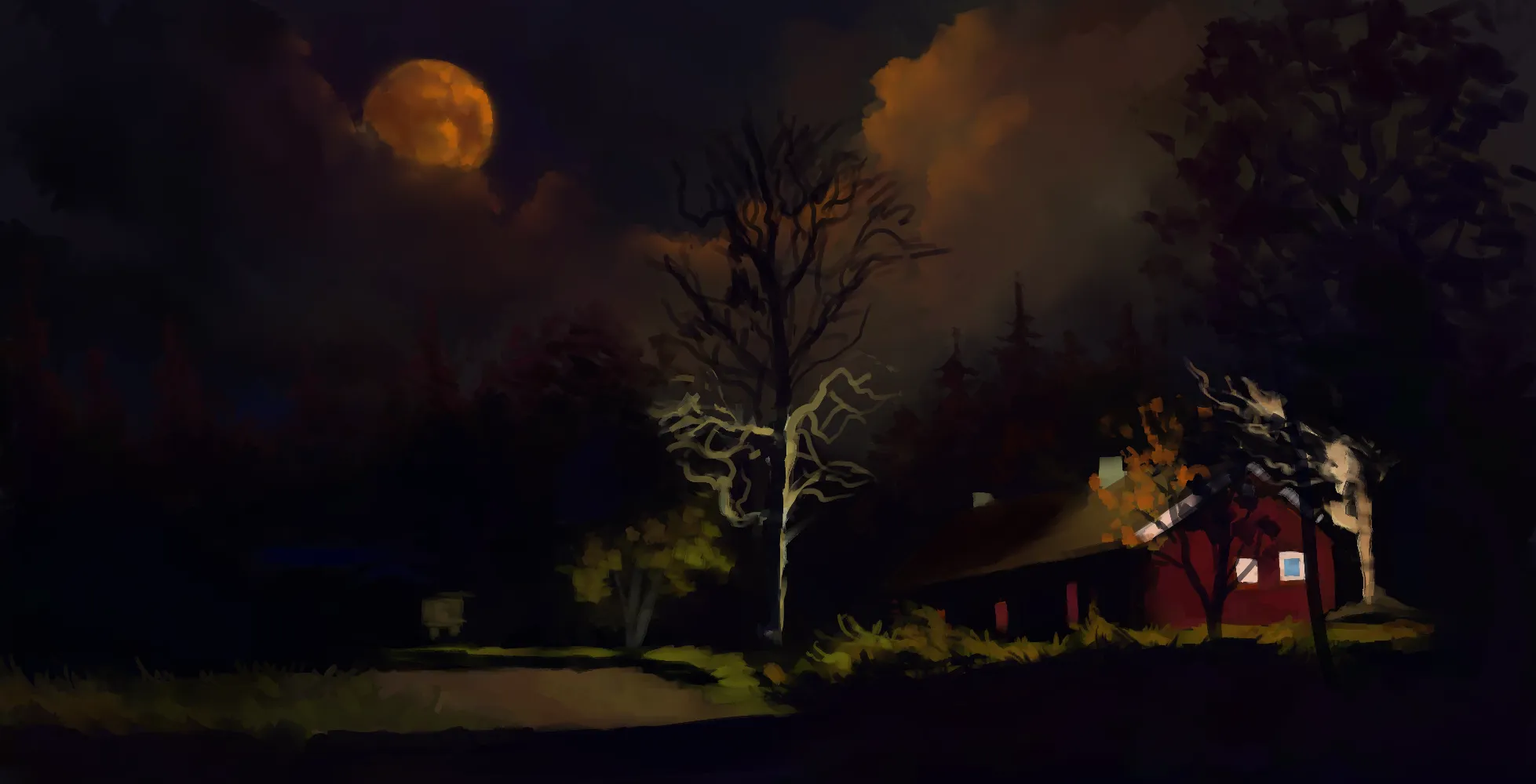 Night time walk