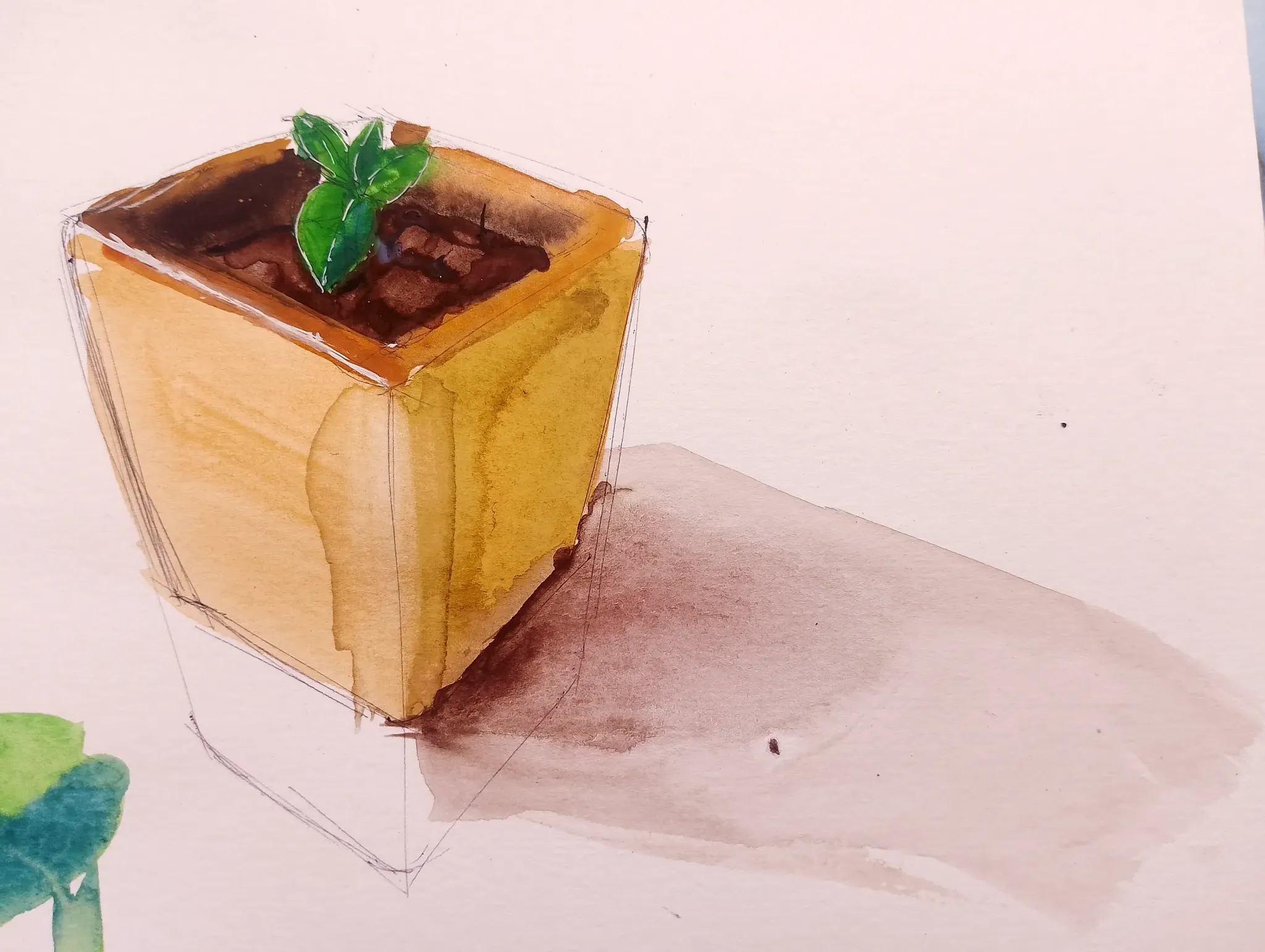 Watercolor painting