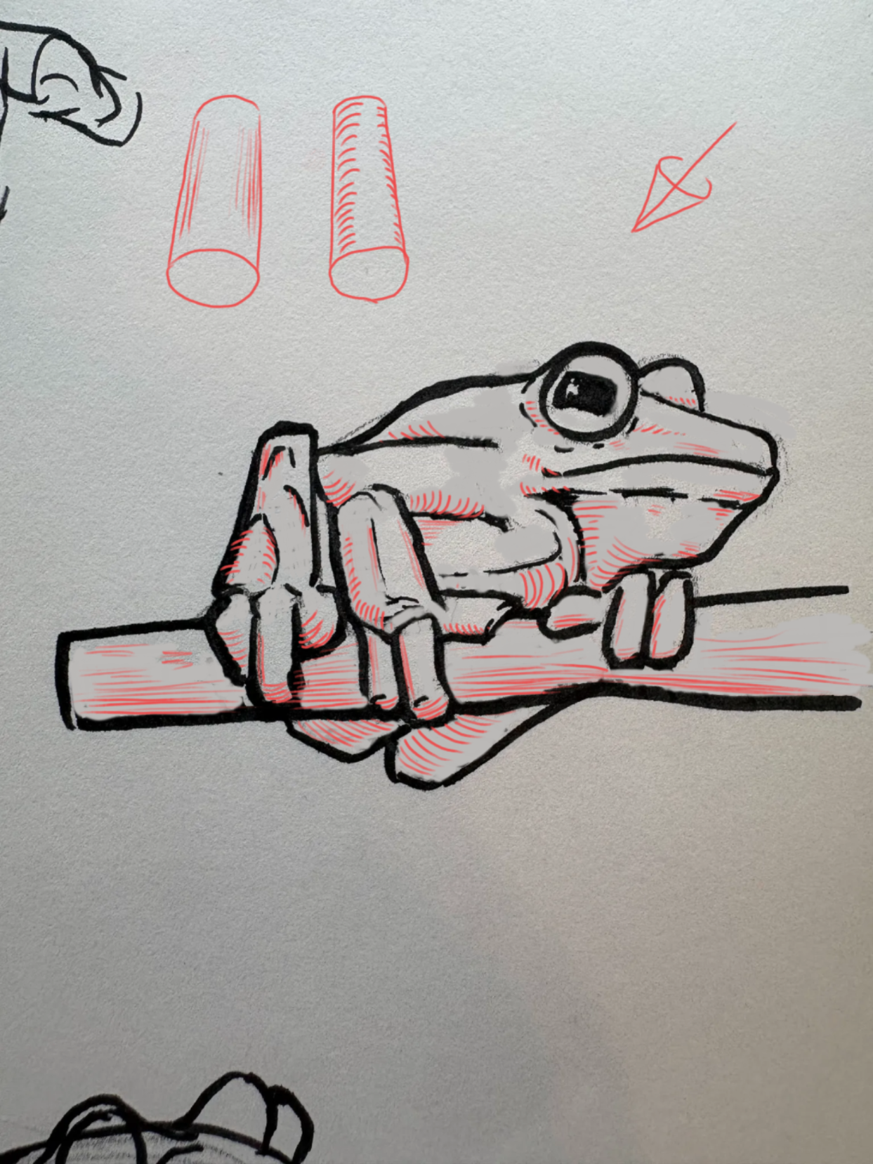 Frog