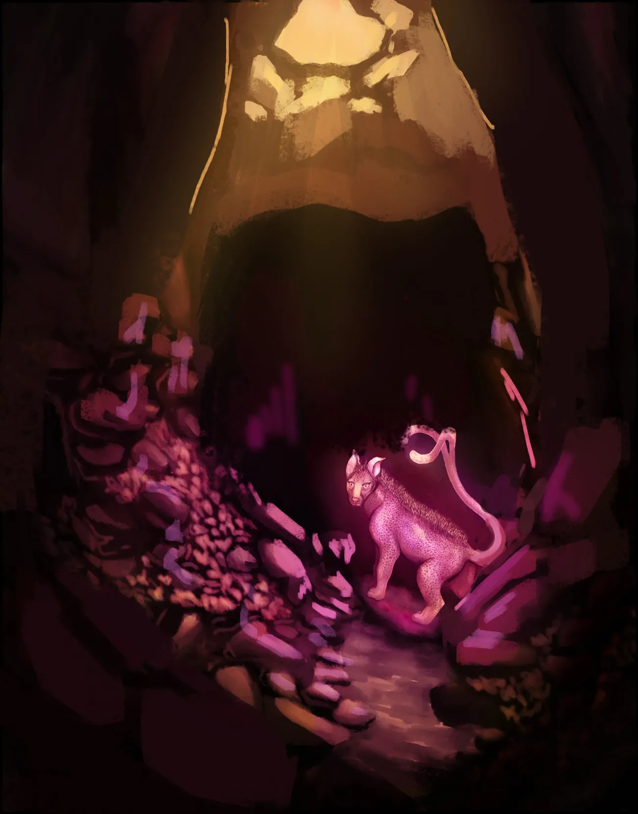The Path Finder