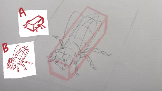 A bee