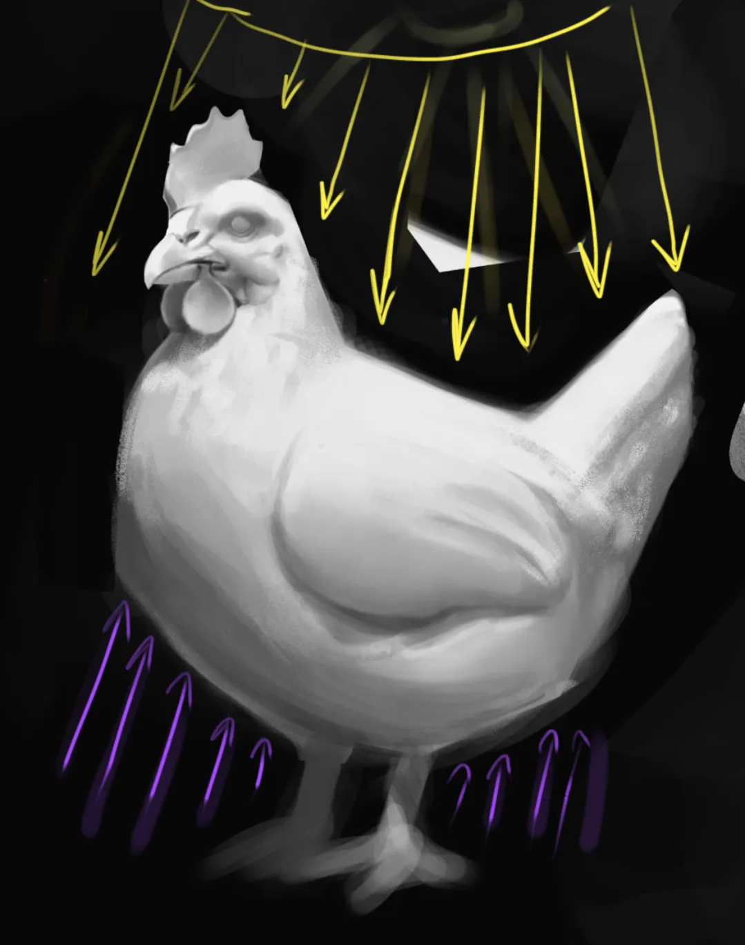 The Chicken