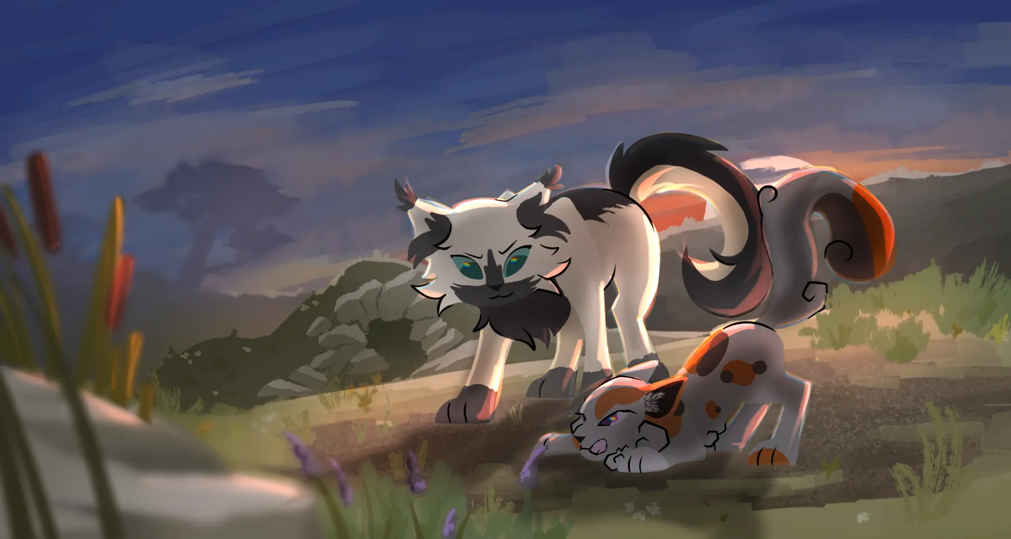 Training at dusk
