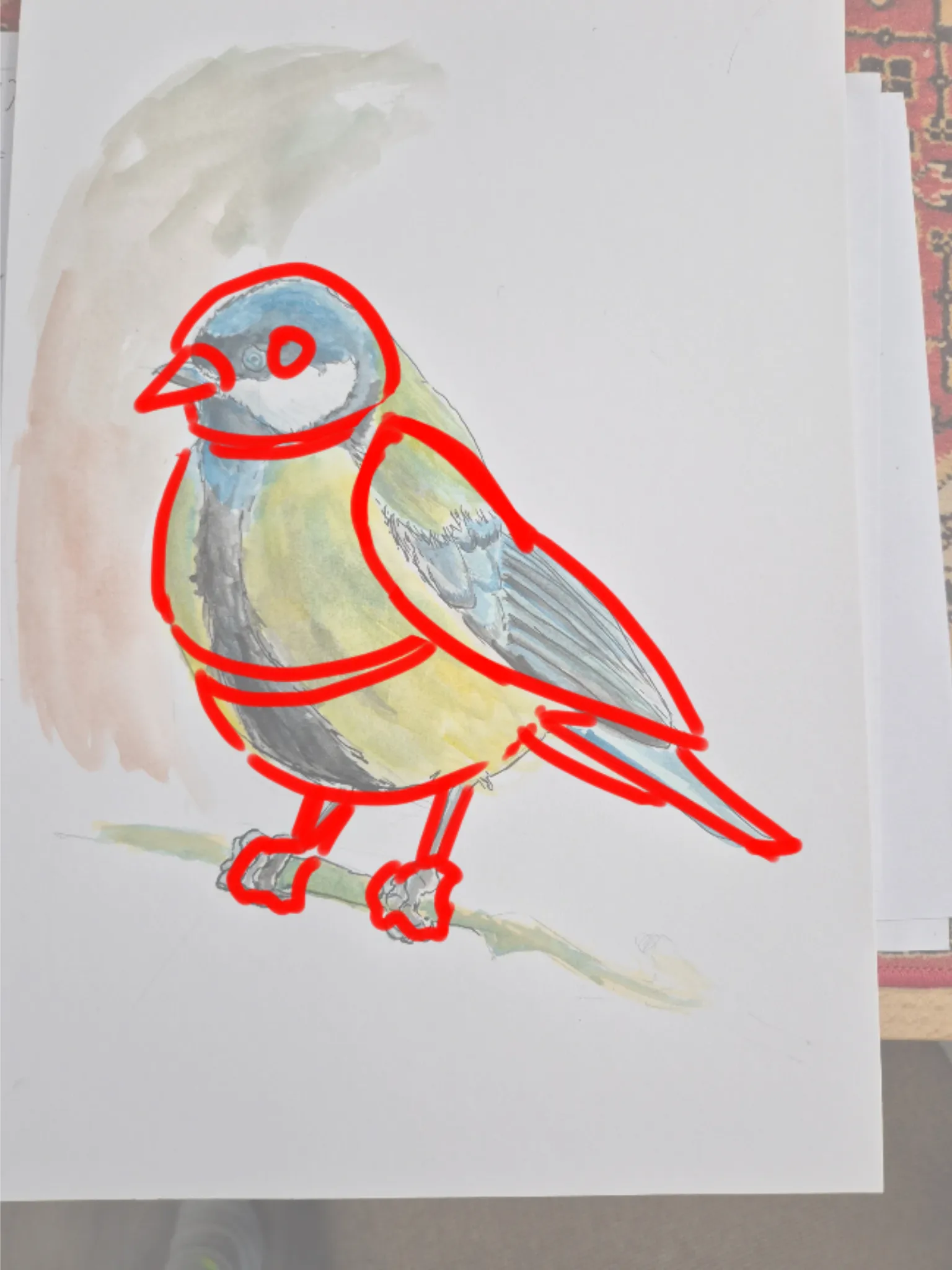 Bird