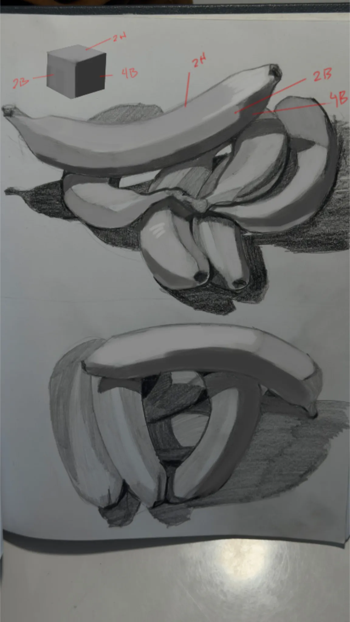 Simplicity study