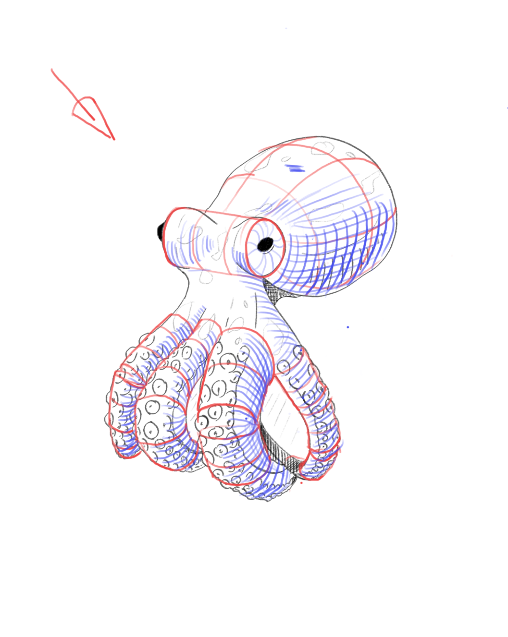 Sketch of octopus