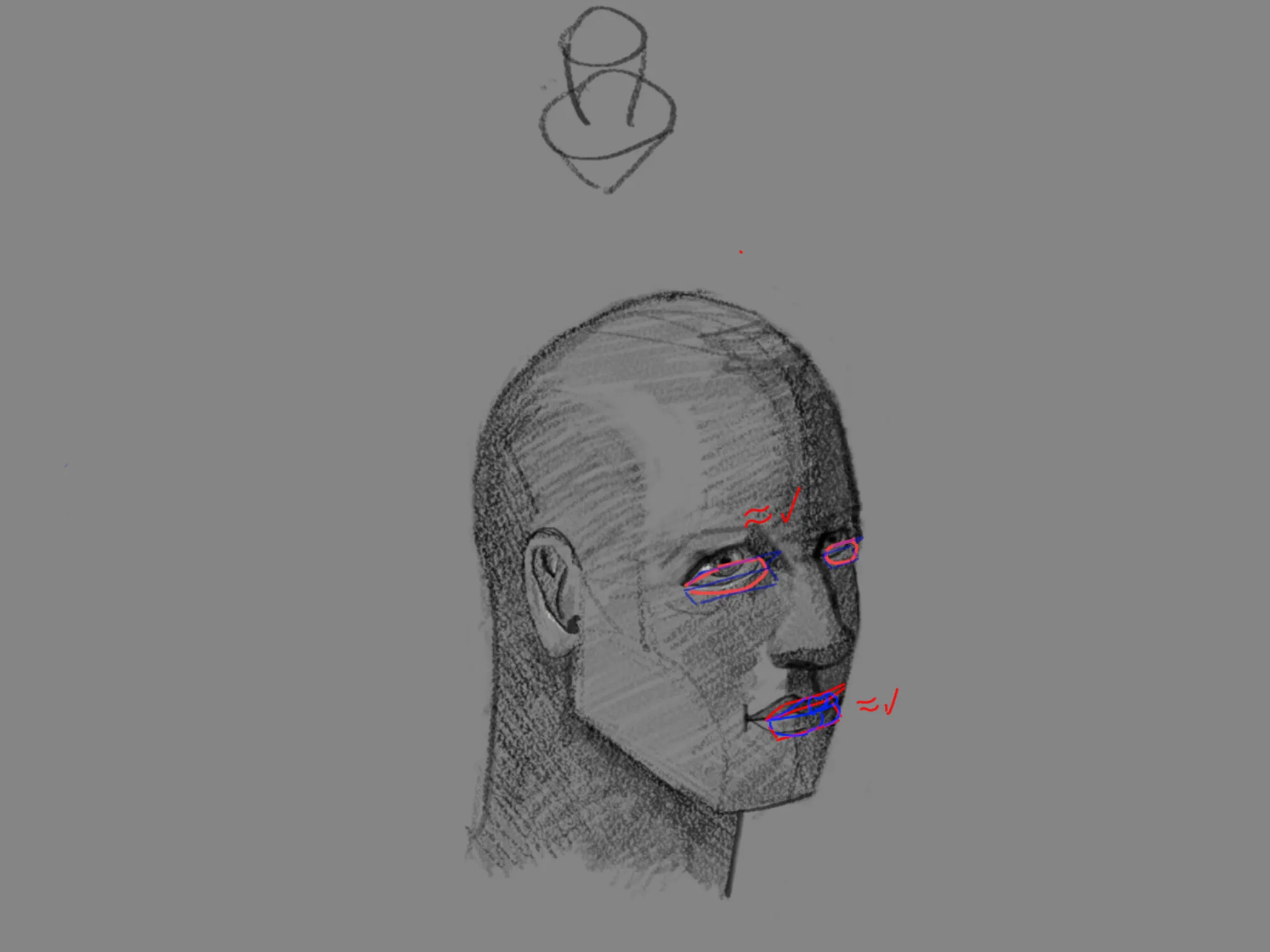 Facial anatomy practice 1