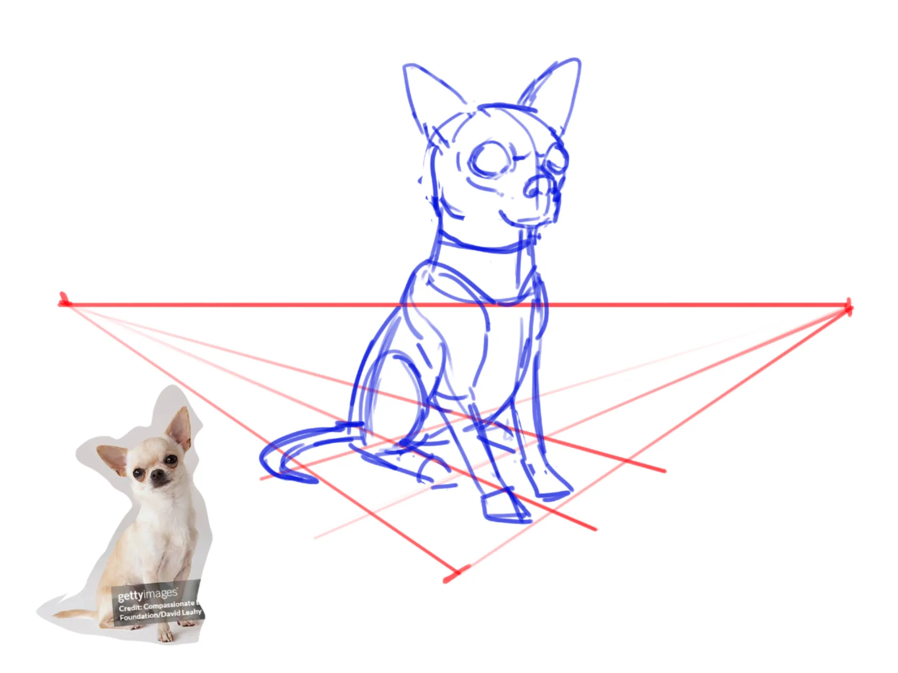 uummm greyhound study