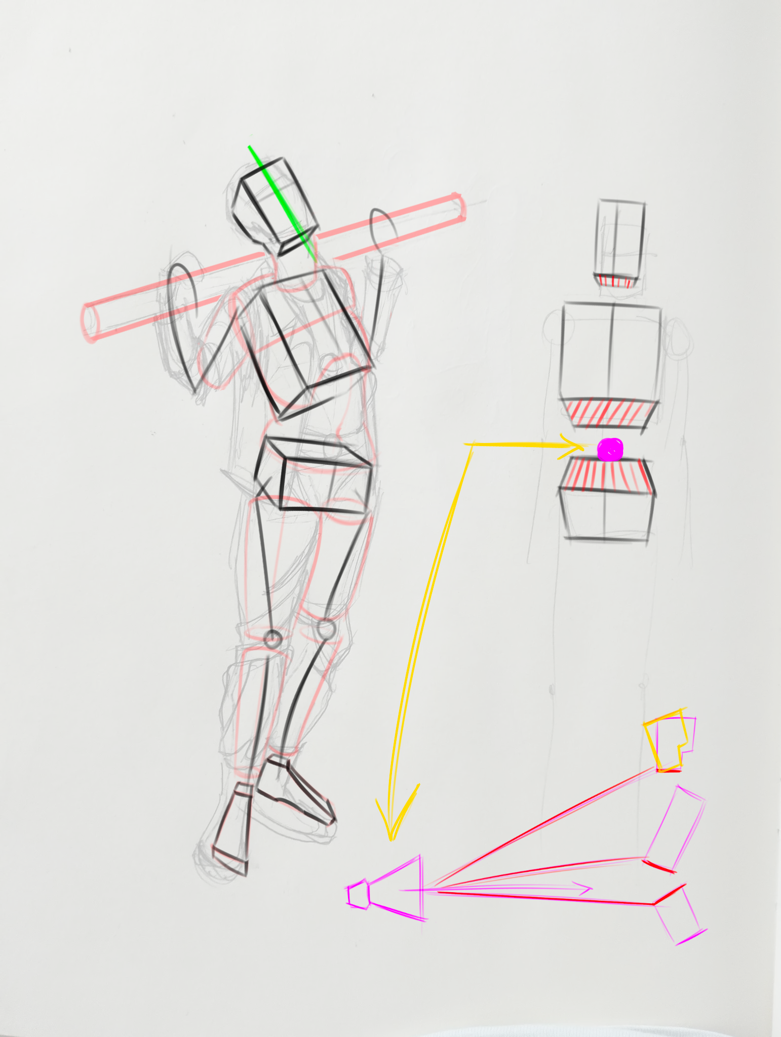 The underlying structure is at the right, though the torso looks a bit elongated; is there any way to fix that?