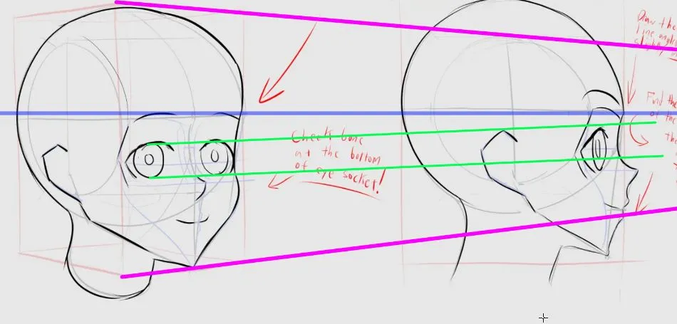 Head Angle Study