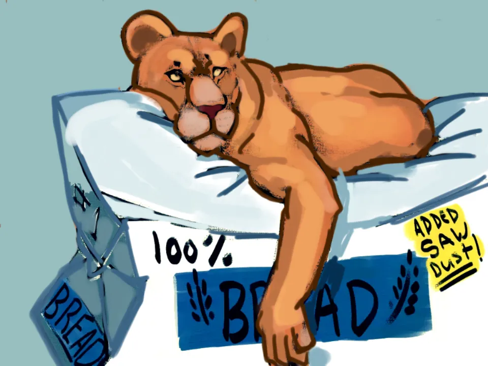 Lion, laying on lying bread