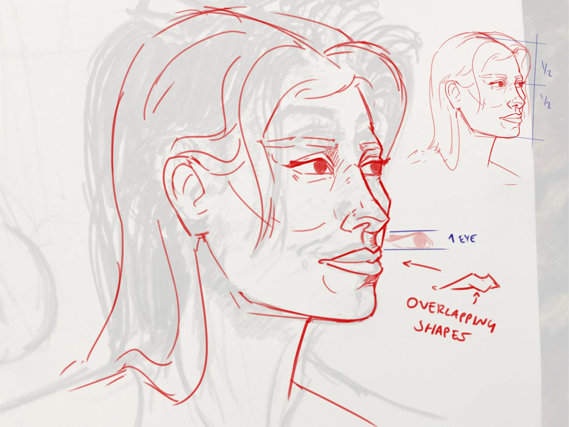 Mouth and nose and proportion