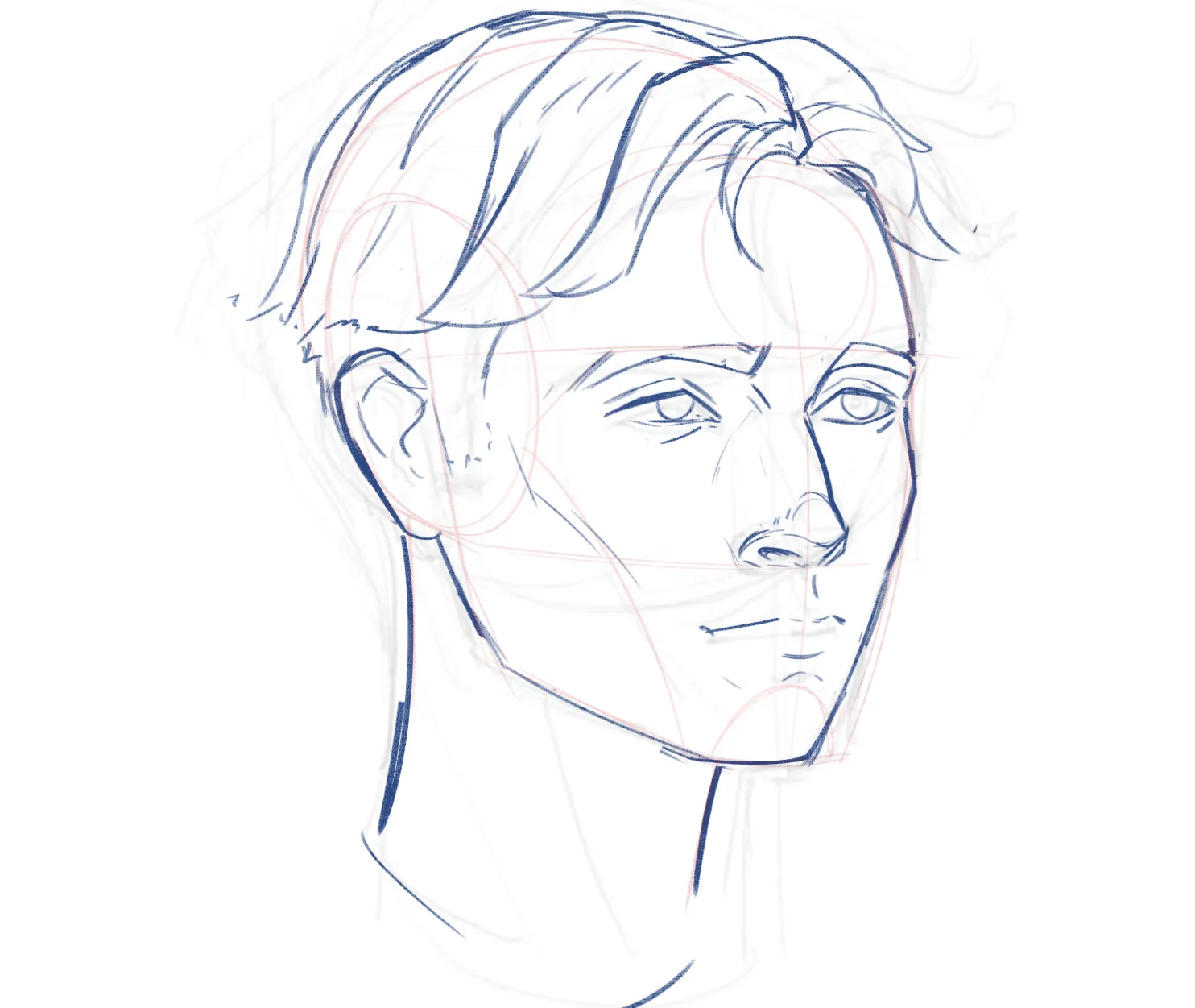 face construction