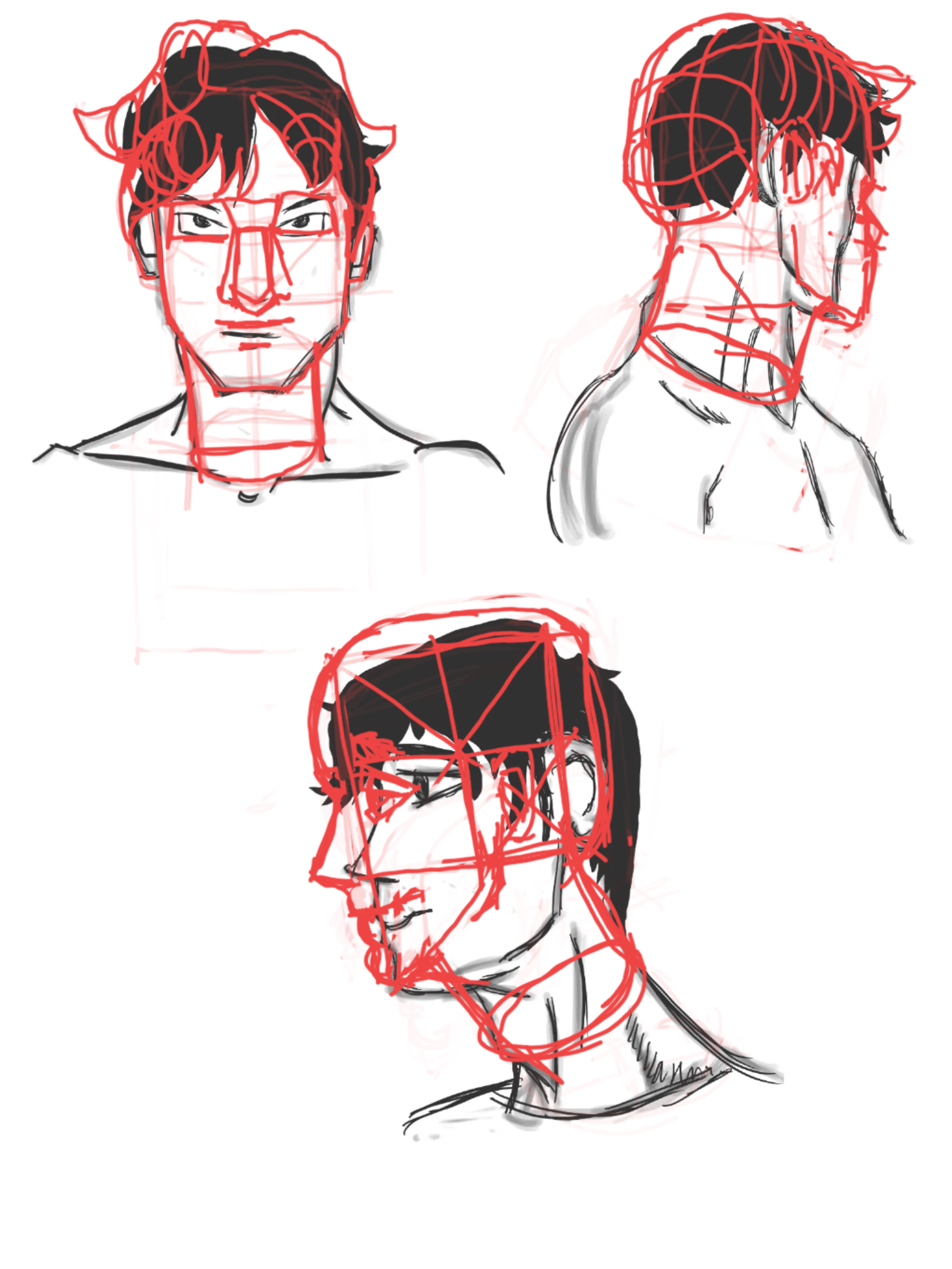 neck