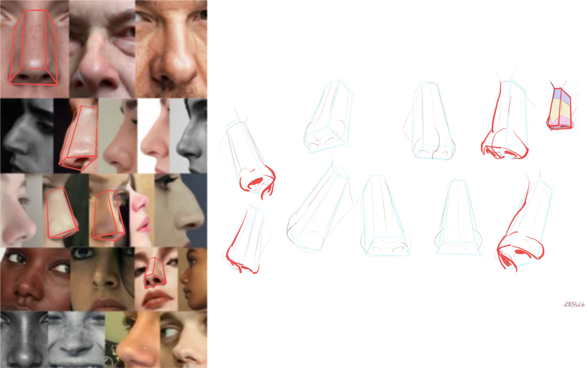 I need help with noses