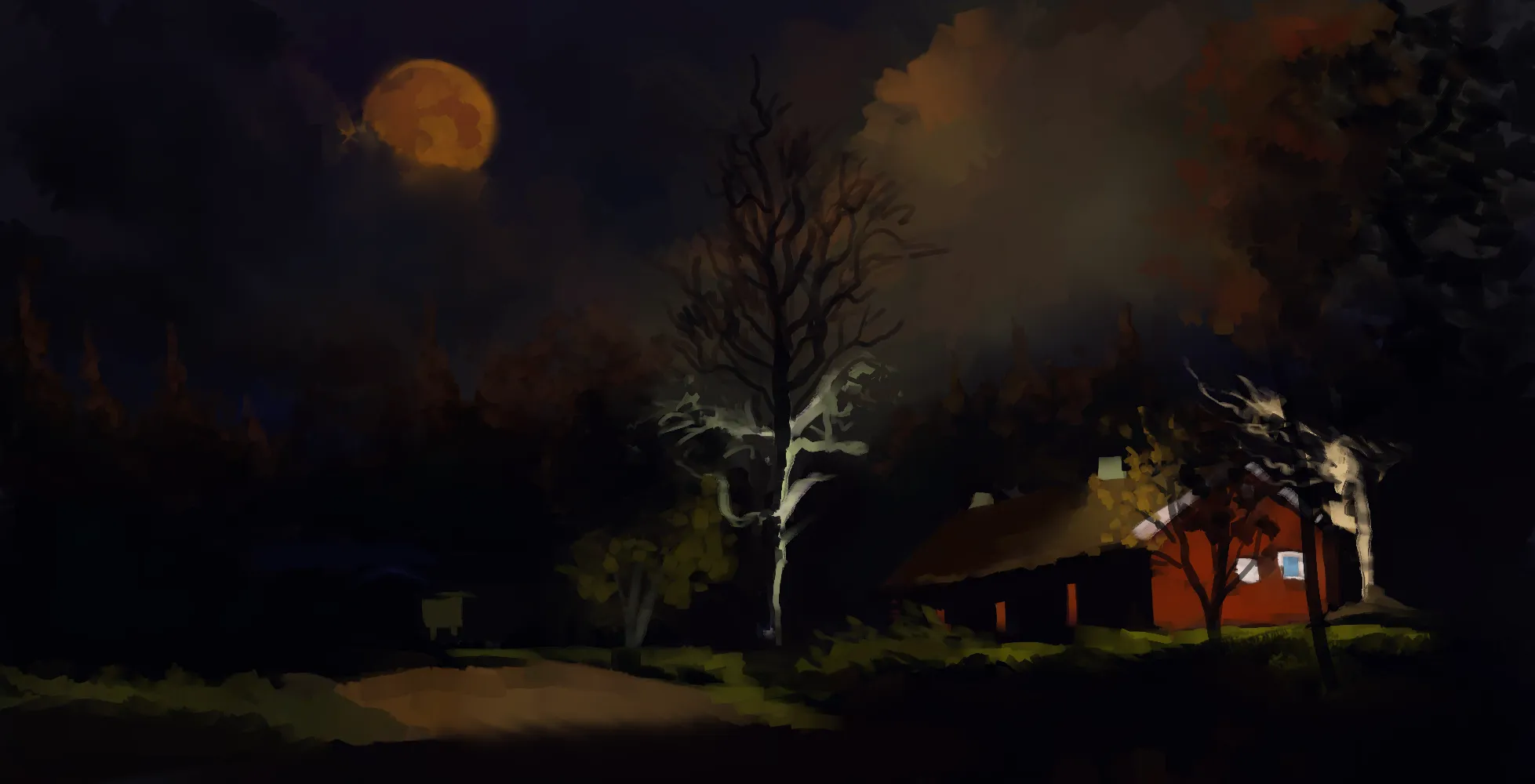 Night time walk