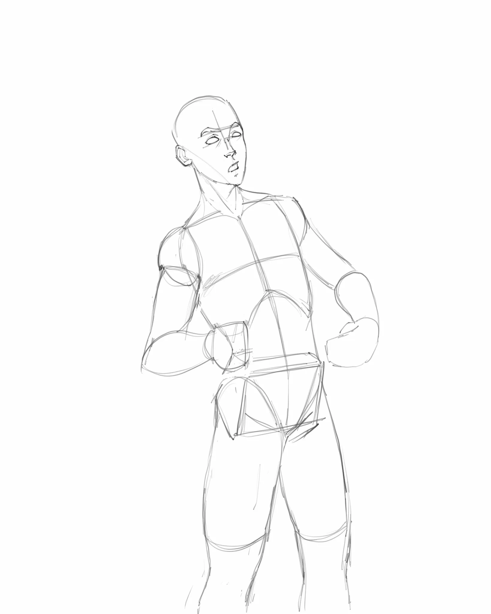 Anatomi Proportion