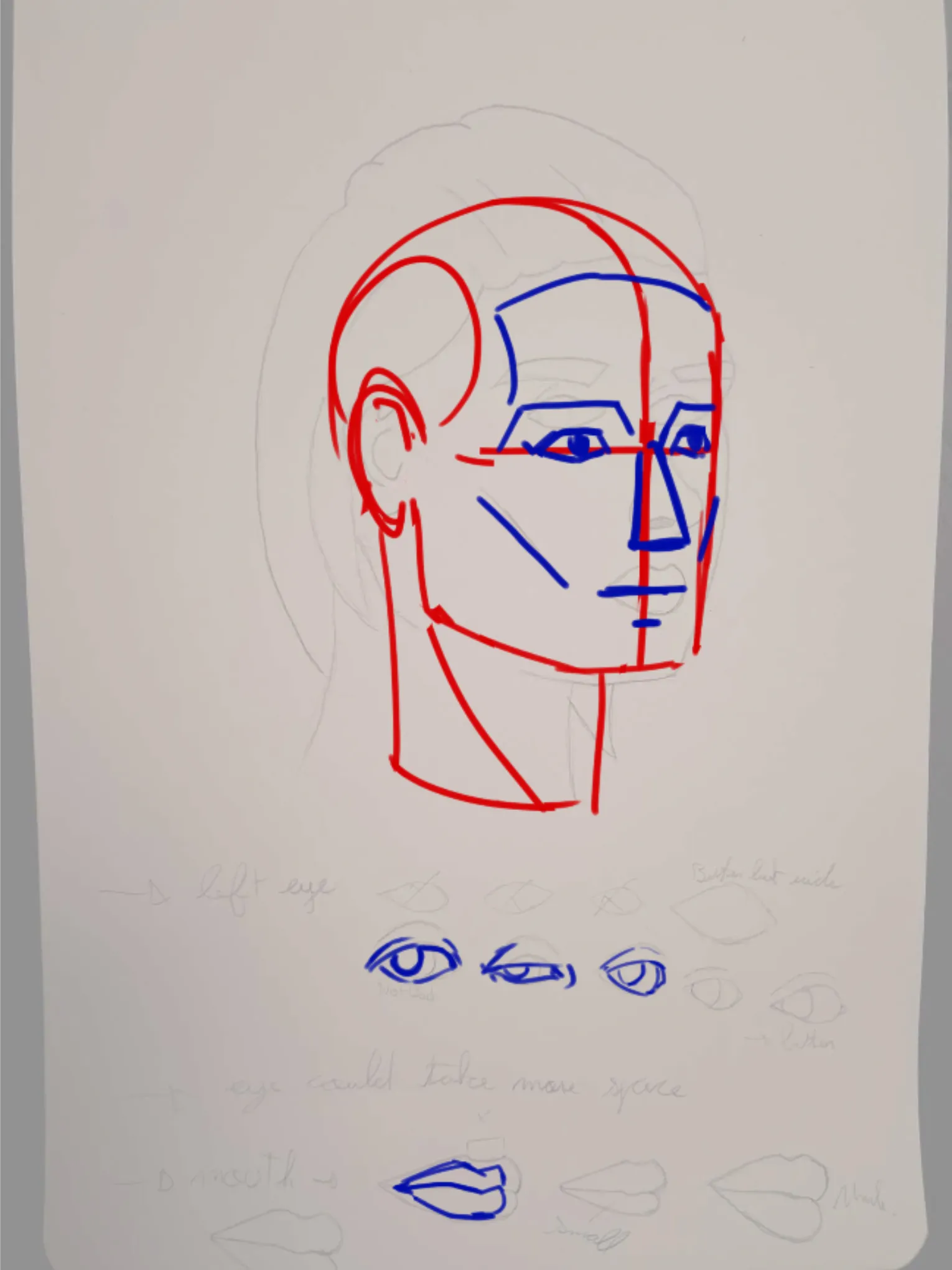 portrait practice