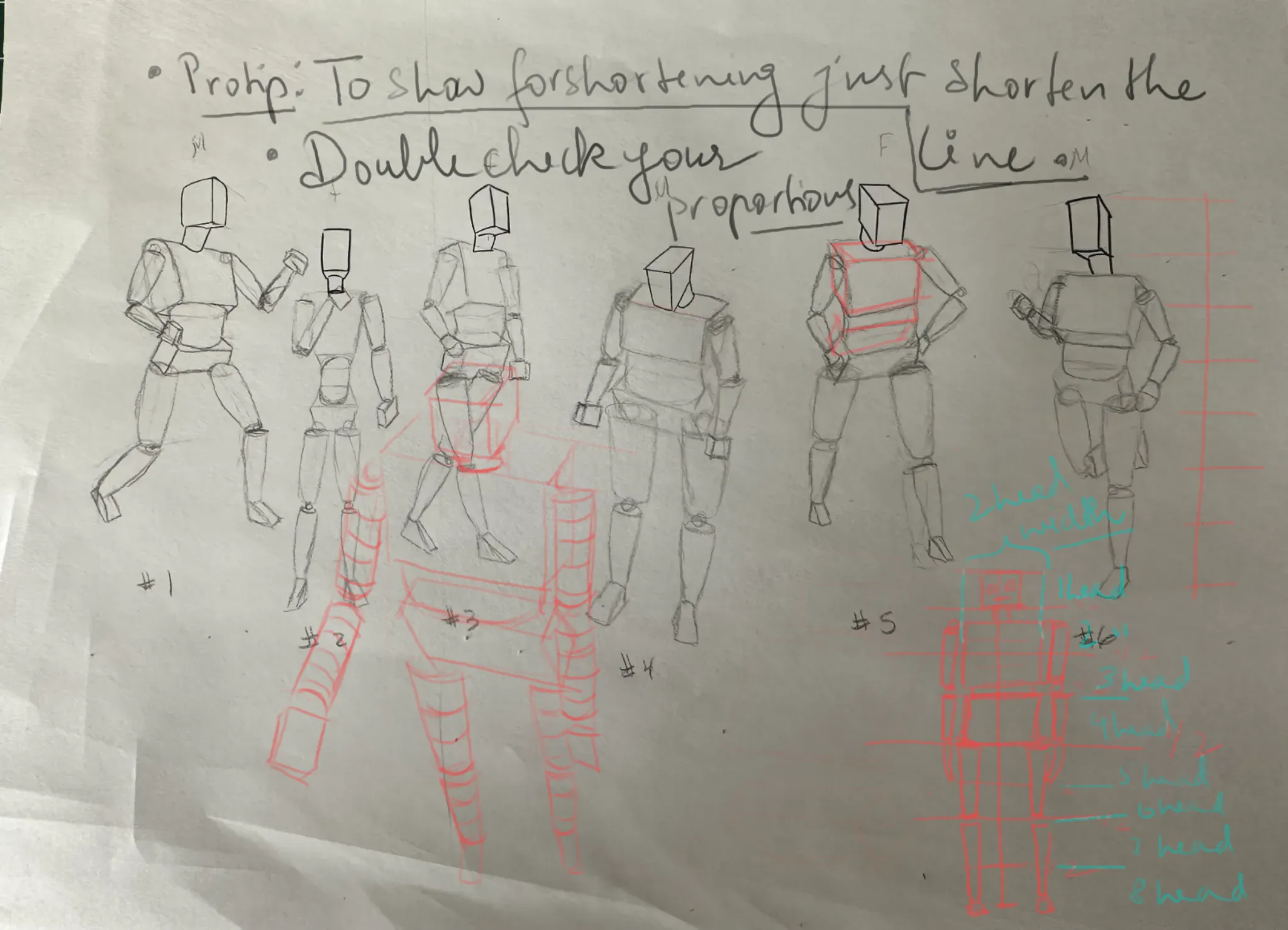 Male and Female Mannequins From Intro To Figure