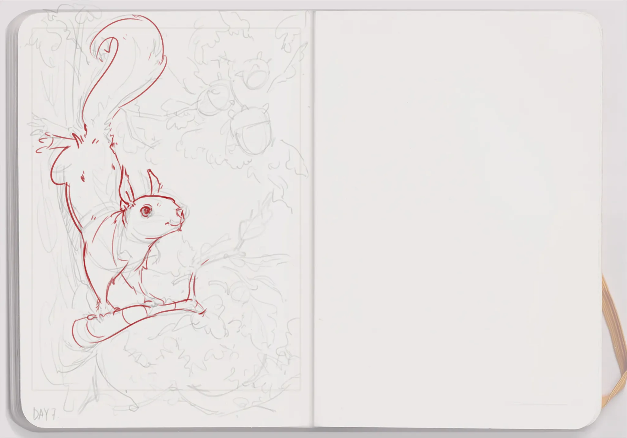 Day 7 Squirrel Sketchbook