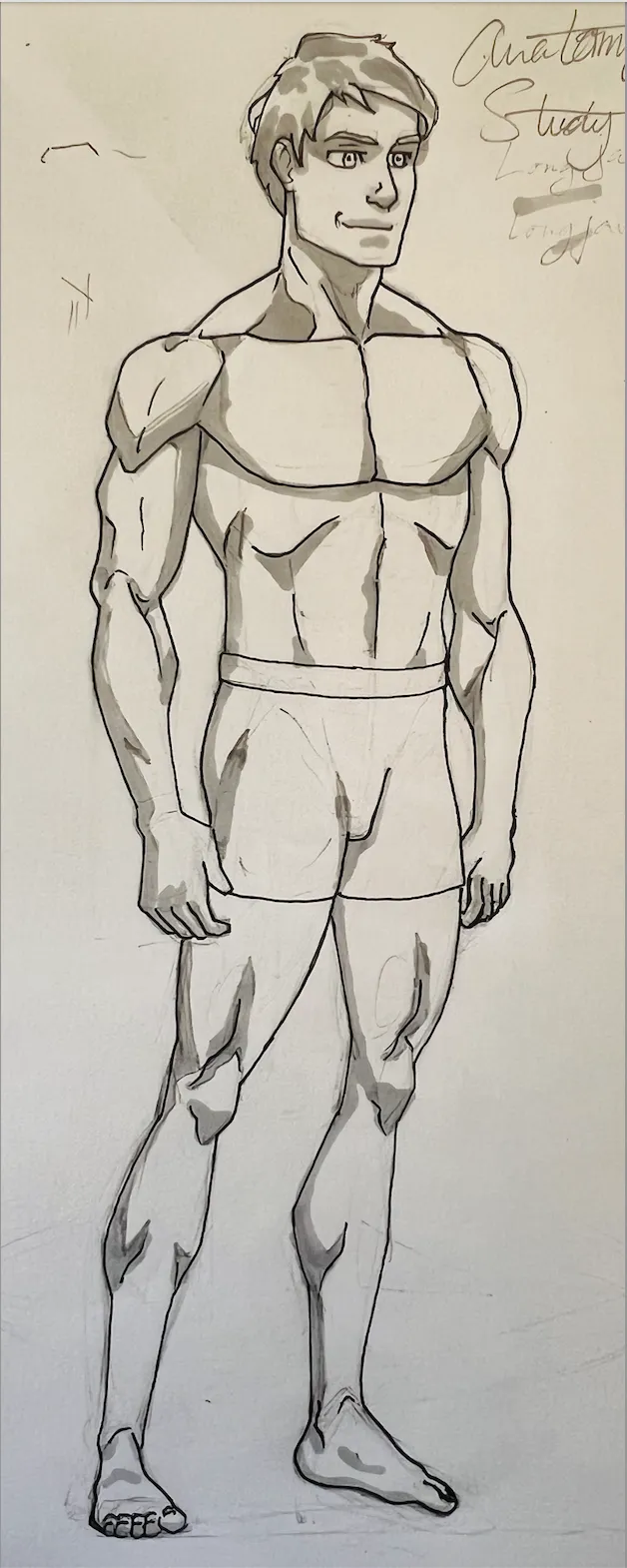 proportions and anatomy study