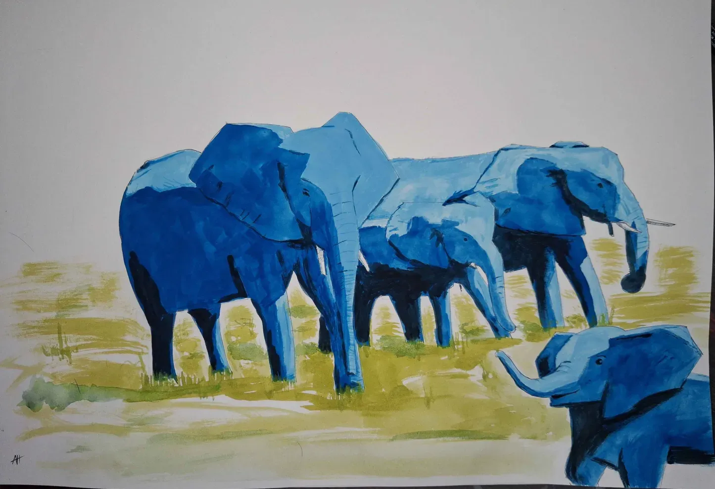 Elephants