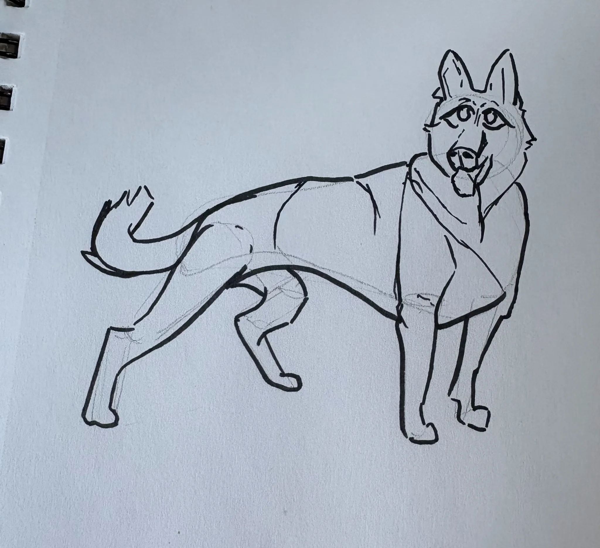 Struggling with Finding Form