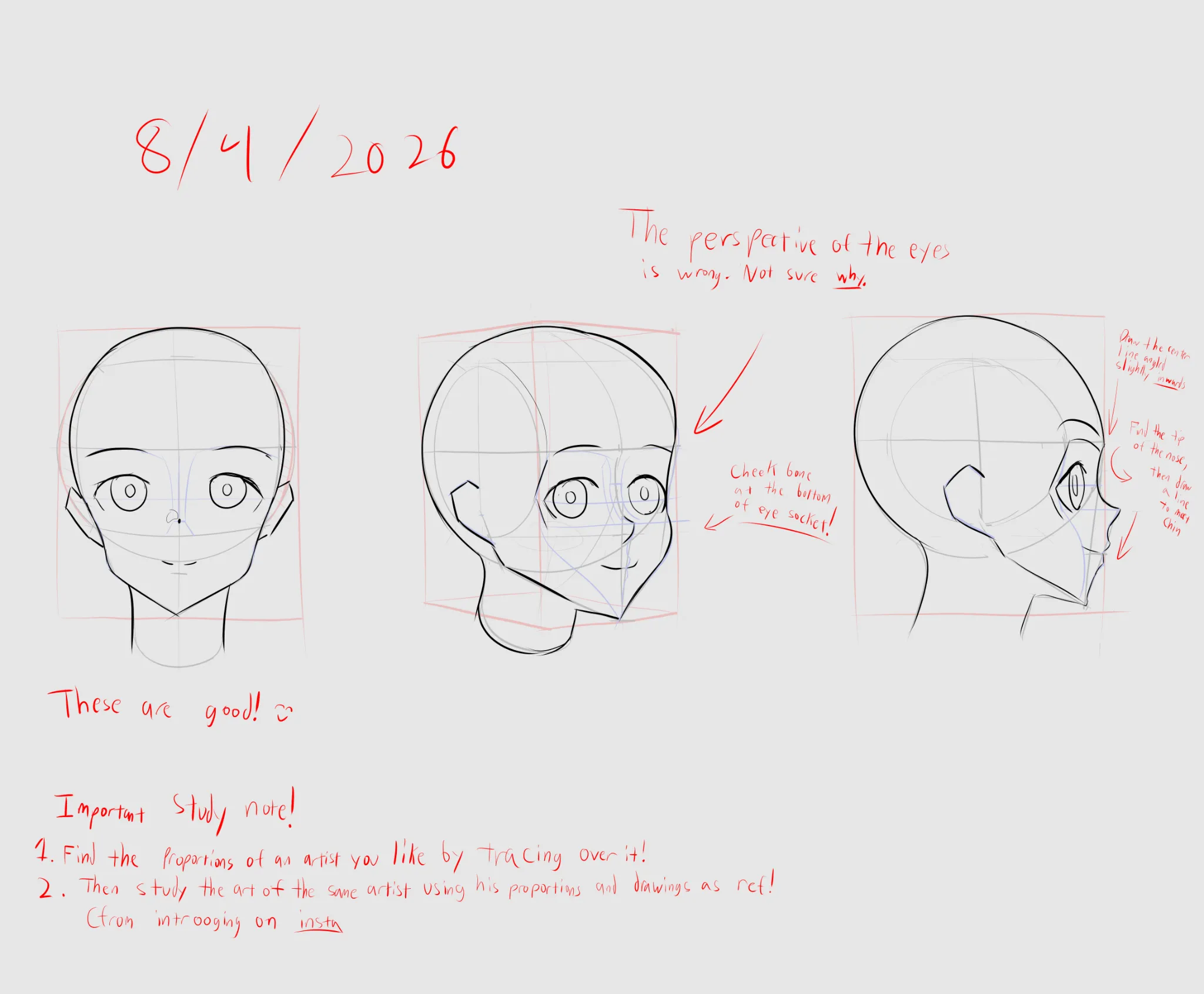 Head Angle Study