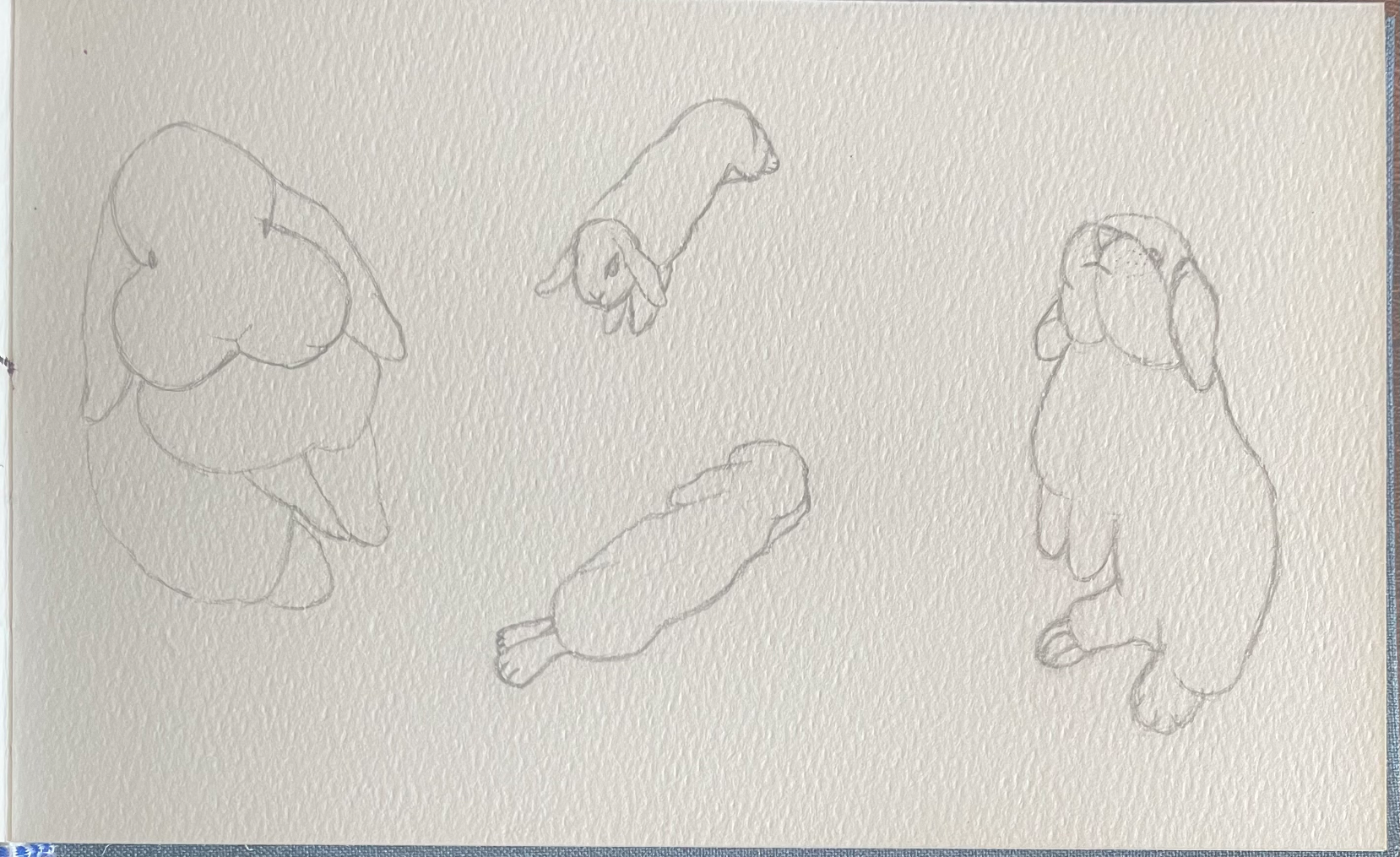 Day 30