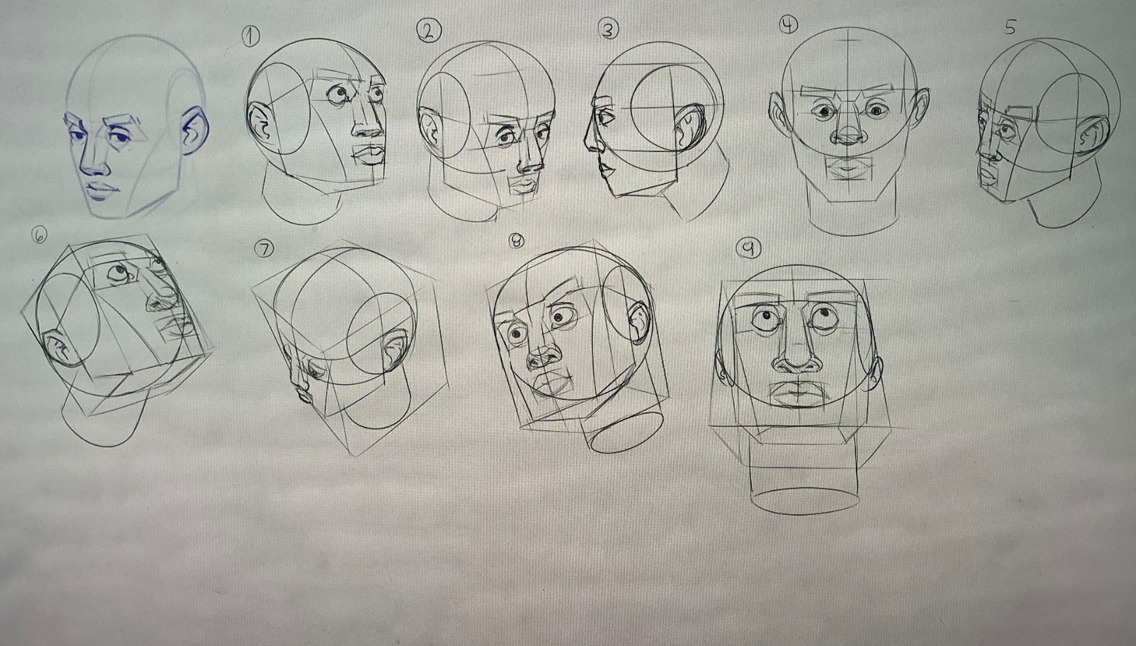 Portraiit Road Grind Node on Basic Anatomy