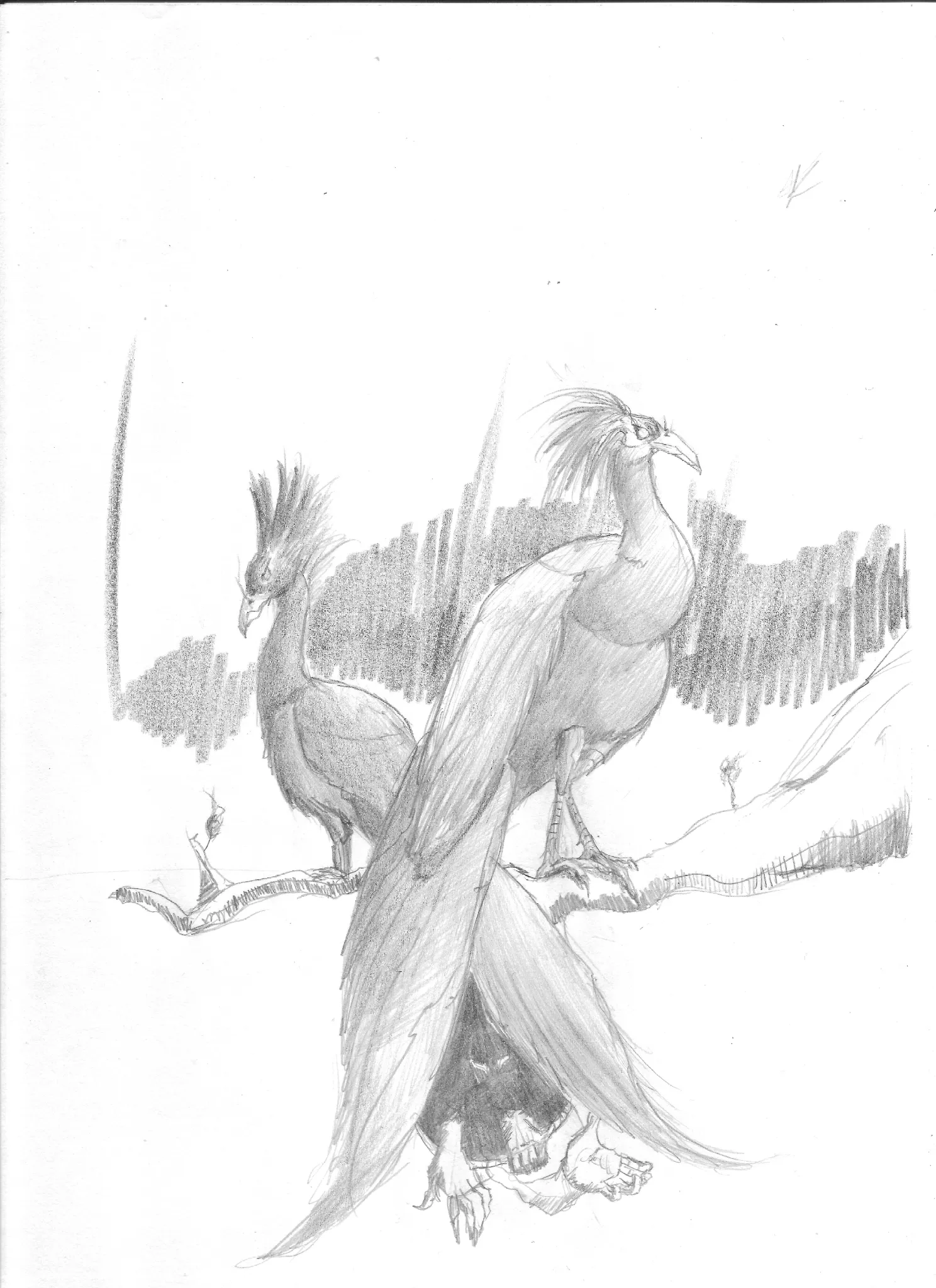 Day 15