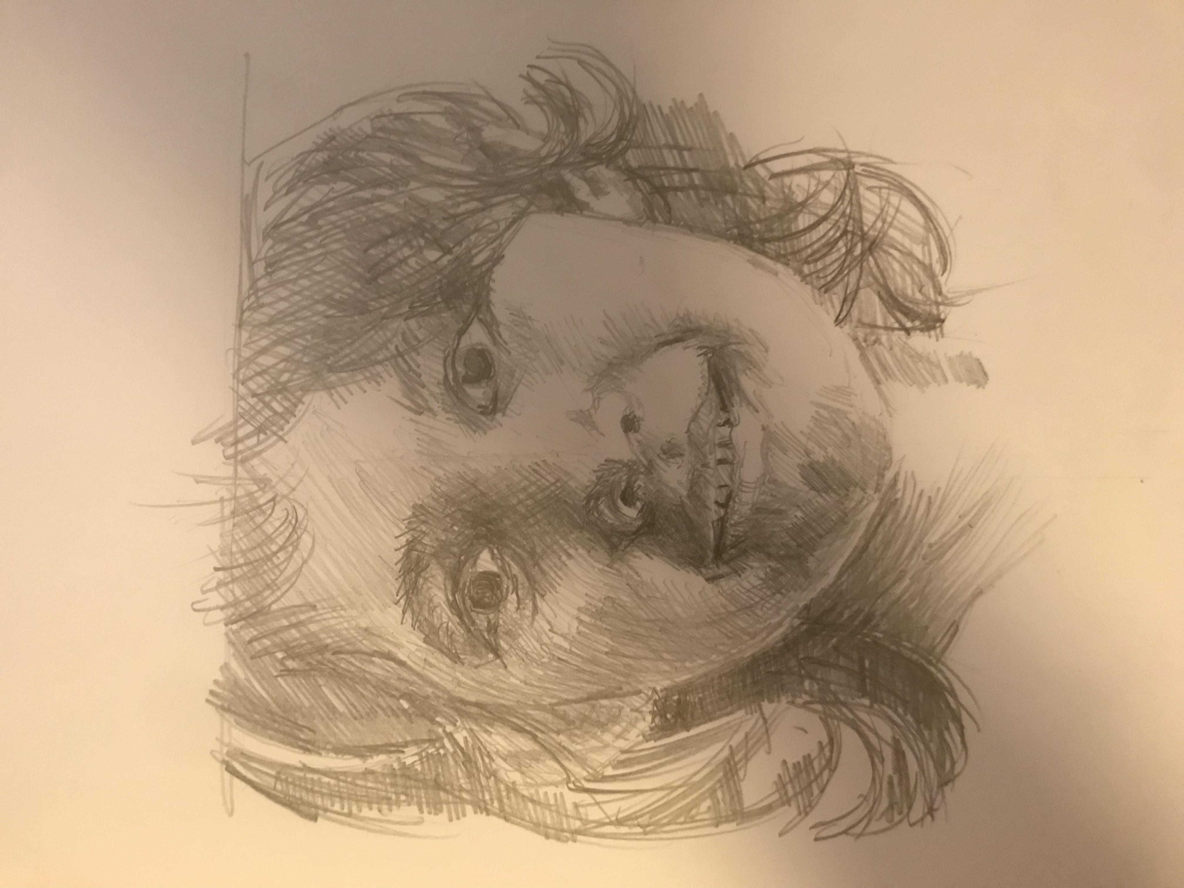Looking for comment on technique
