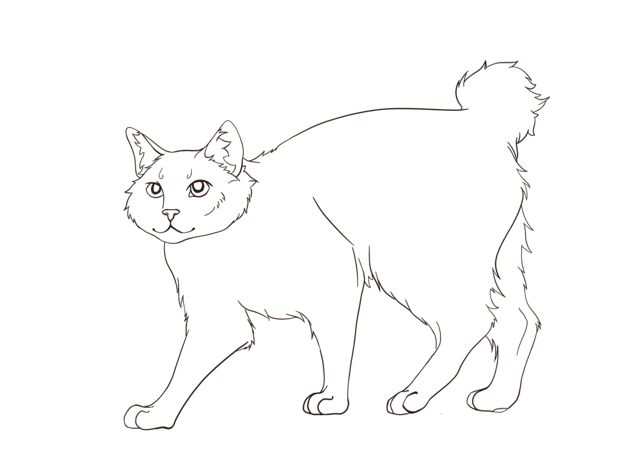 Bobtail Cat