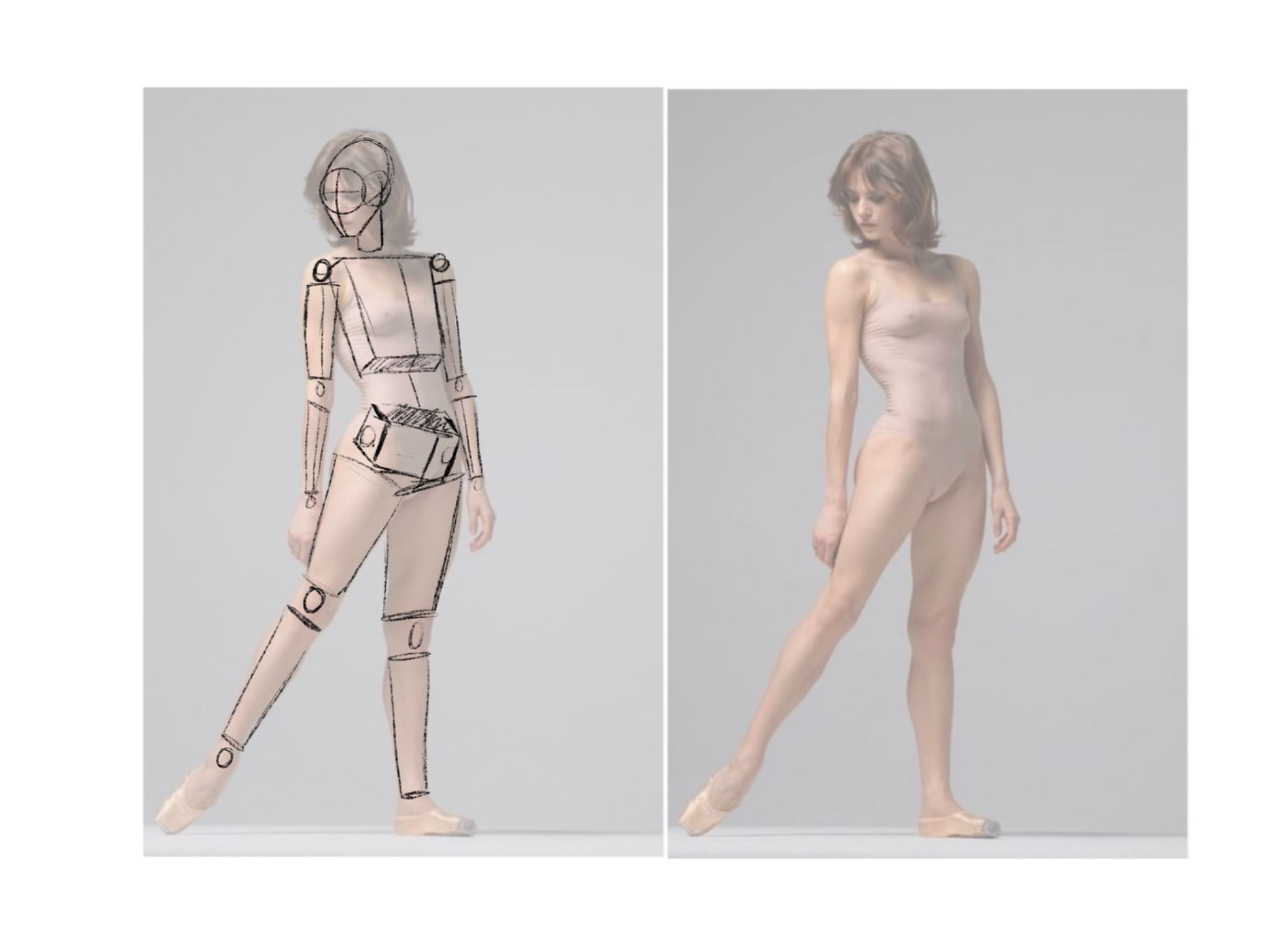 Anatomy with forms