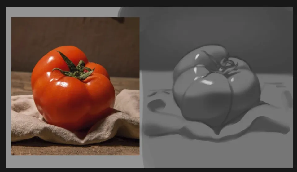 Tomato Study