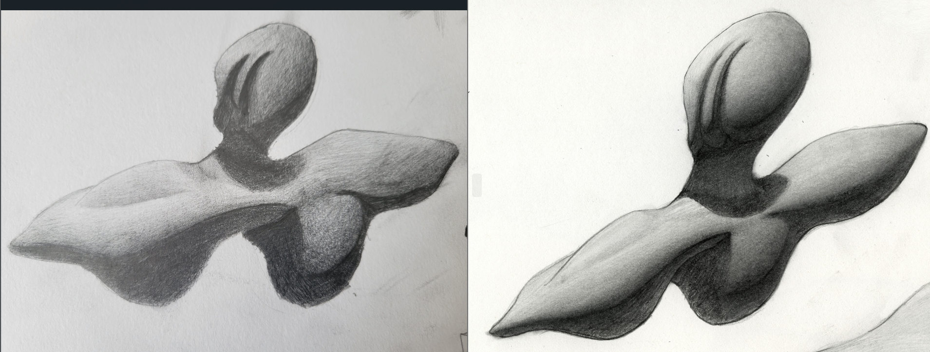 Hi,
I'm working on my value/shading skills on organic shapes.
The drawing on my left is my attempt. I want advice on what I should be paying attention to when shading. Also, I can't seem to get the form to pop out properly for the two protruding (fang-like shapes) on the top egg-sphere.
Cheers
